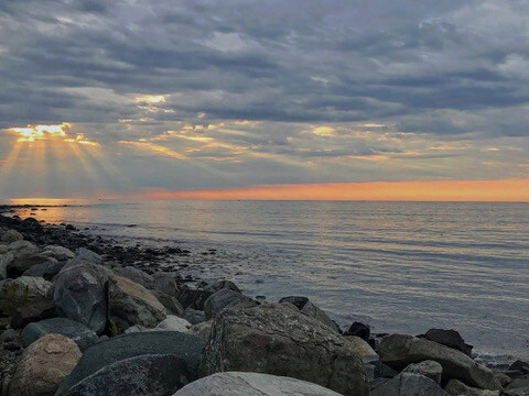 01791546-92C4-438F-A85D-54B9D1015663_4_5005_c