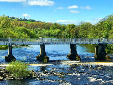 0FADE9D3-E23B-40D1-AF31-CCB9AA10533B_4_5005_c