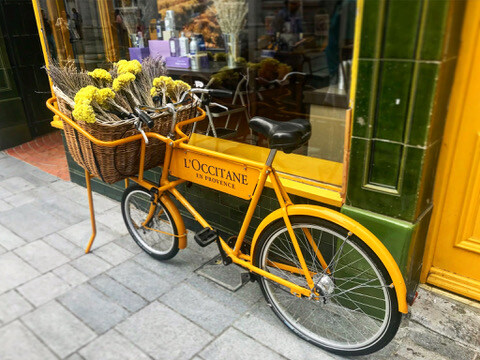 1377F3CD-7537-4E85-A0F0-8D4F42D5A845_4_5005_c