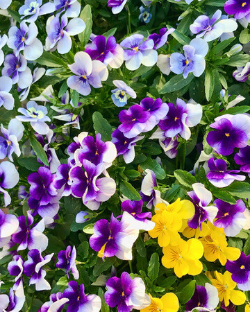 2948BD07-9129-4321-A9D6-1B1F7641E46A_4_5005_c