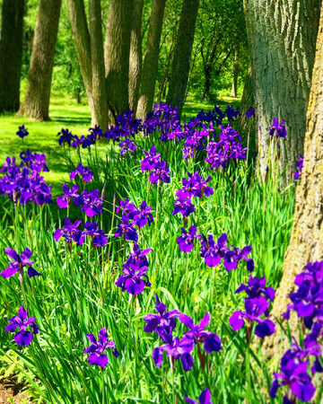 5540ADC3-A75D-4924-887B-526943C8540C_4_5005_c