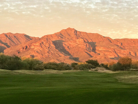 6087B98A-8076-4E65-86F5-9A20D294CD64_4_5005_c