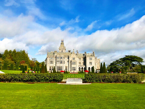 6A6CD643-1513-4187-9975-F95243AE6FA3_4_5005_c