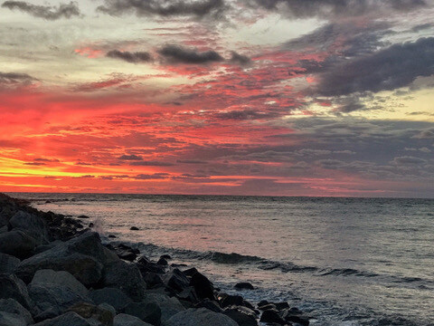 7CA82E03-19A1-4C1E-B279-9C8E531C3DA4_4_5005_c