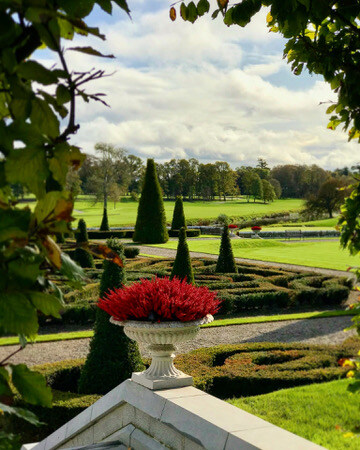 7DB69949-F9D6-4631-AA5B-39C454188FBF_4_5005_c