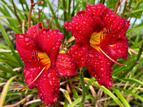 7F044D30-1122-44E3-96D9-A16A633FF5A2_4_5005_c