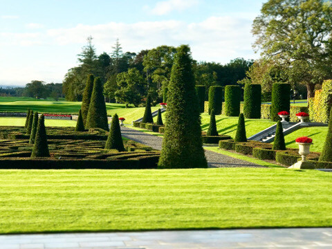 86903F31-8C82-4DE3-AB39-462A09D86821_4_5005_c