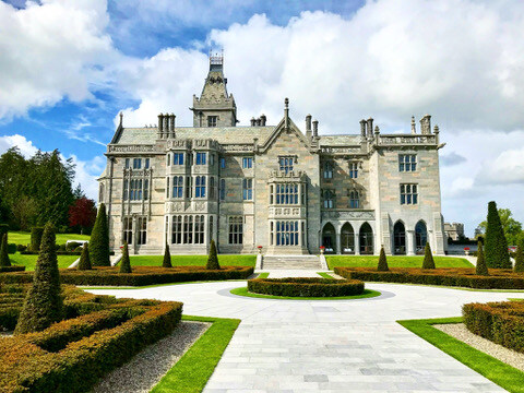 86F3D94D-91C5-4218-8FE7-23EAA0DE357D_4_5005_c