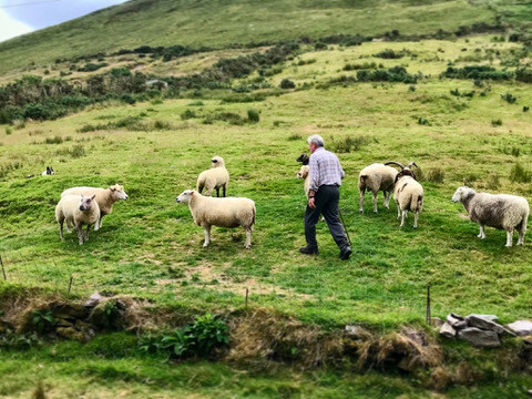 95834CFF-94A6-4B34-ADEB-30D686EA3D35_4_5005_c-1