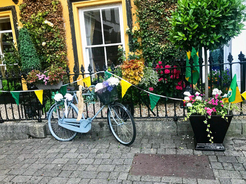 983D3D03-73BE-4407-9845-B5FC36C869BC_4_5005_c-2