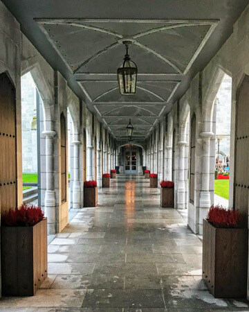 984E3B39-0D8B-4042-9A3B-3E5D2CF2E368_4_5005_c-1