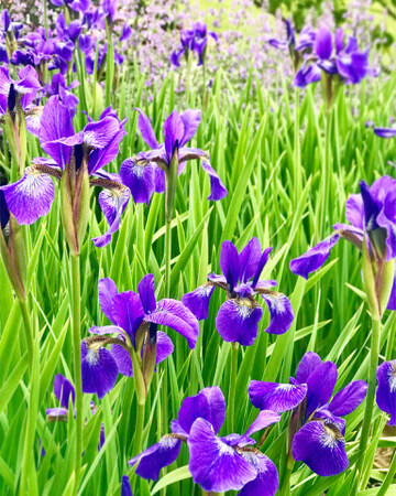 9B1C6D08-0942-4EB2-B17F-3AB4FD297B13_4_5005_c