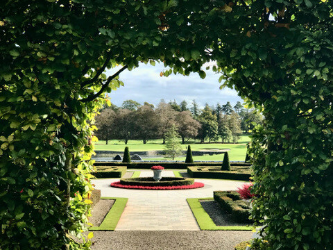 BDFE6A67-40AB-408B-B43F-0CA1B36052C0_4_5005_c