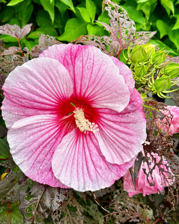 F57B9498-3950-406F-A3C6-9891A809640D_4_5005_c