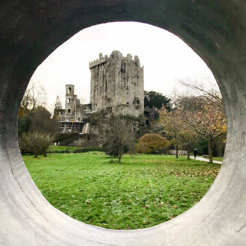 F99C06F8-20F6-471B-BA07-B0DB39C973B6_4_5005_c-1