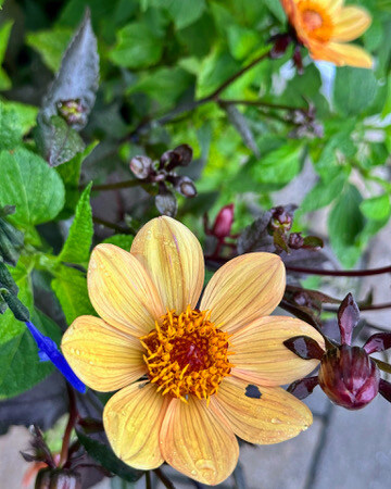 FC70E3BB-71DE-46E2-8F13-A93518F14403_4_5005_c